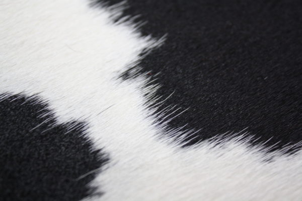 Peau de vache noire et blanche – Image 2