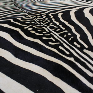 peau de vache zèbre blanc