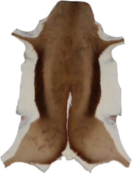 peau de springbok naturelle