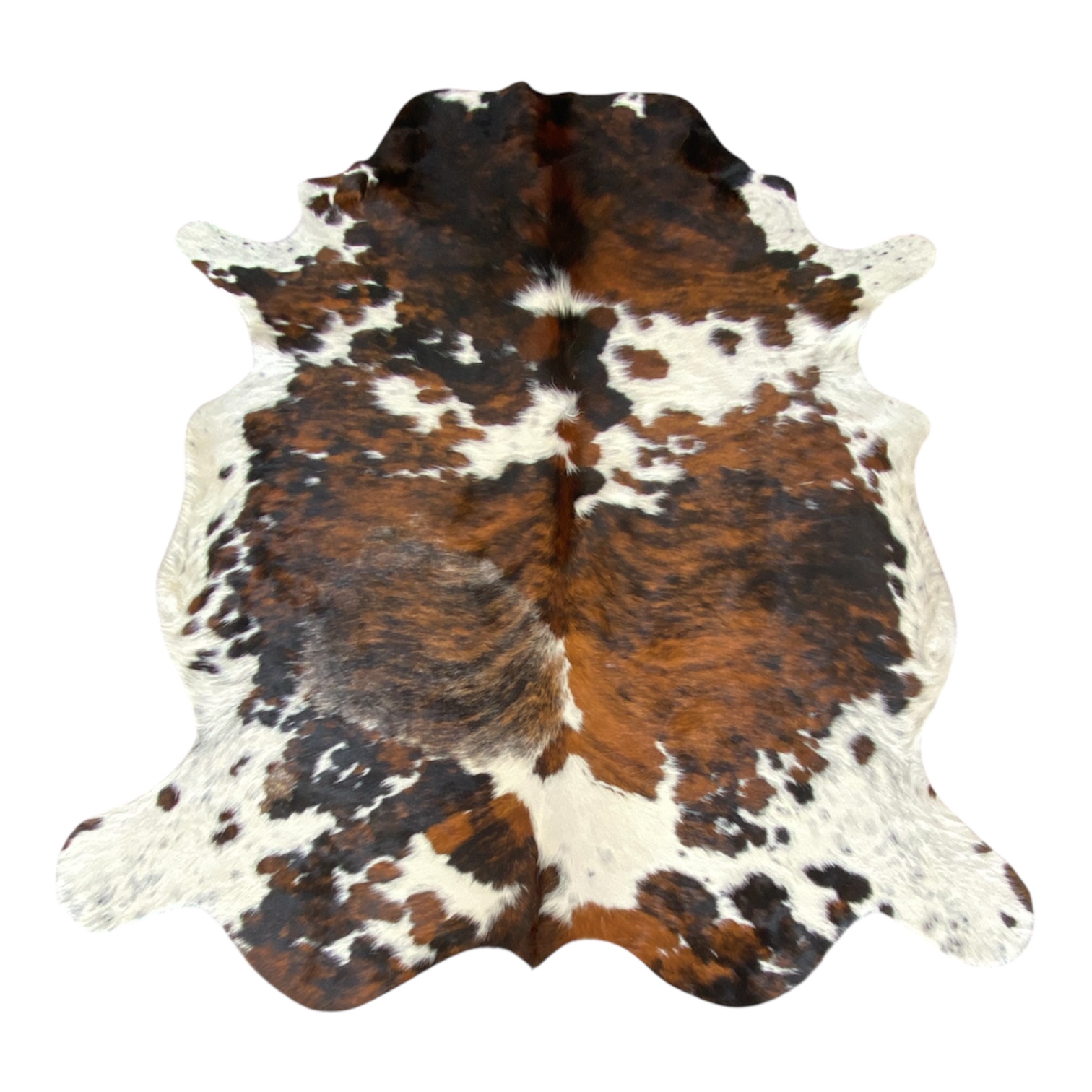 vache-normande-naturelle