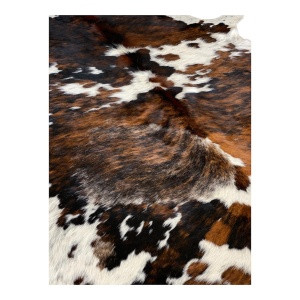 vache-normande-naturelle-visuel