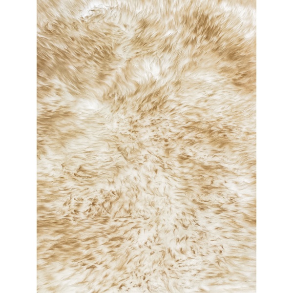 visuel matière naturelle mouton