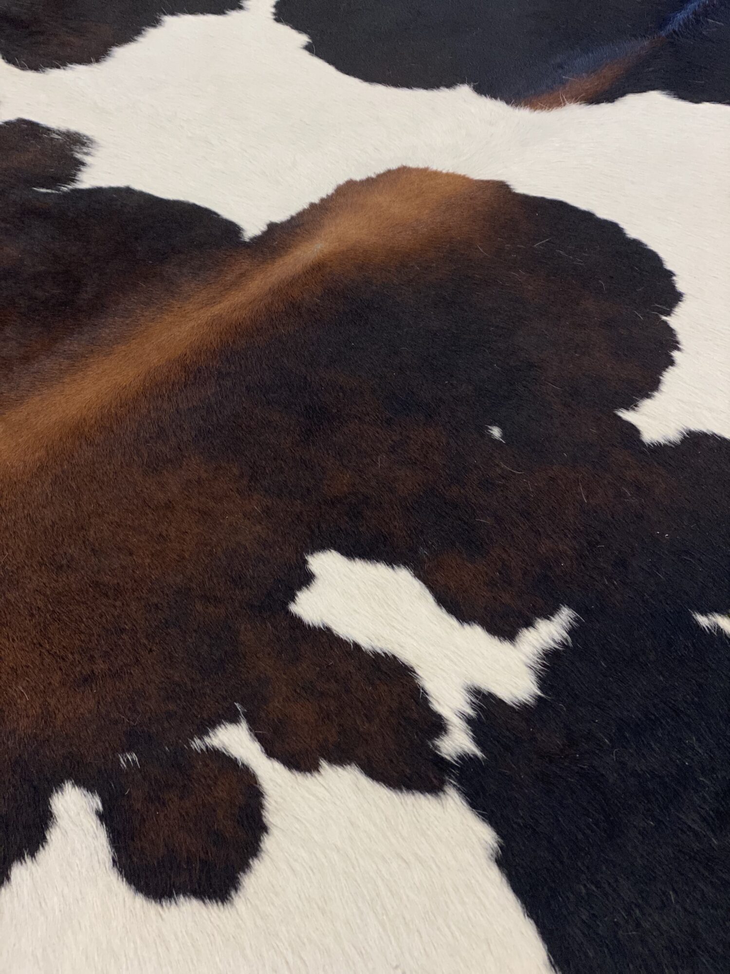 zoom matière vache normande naturelle