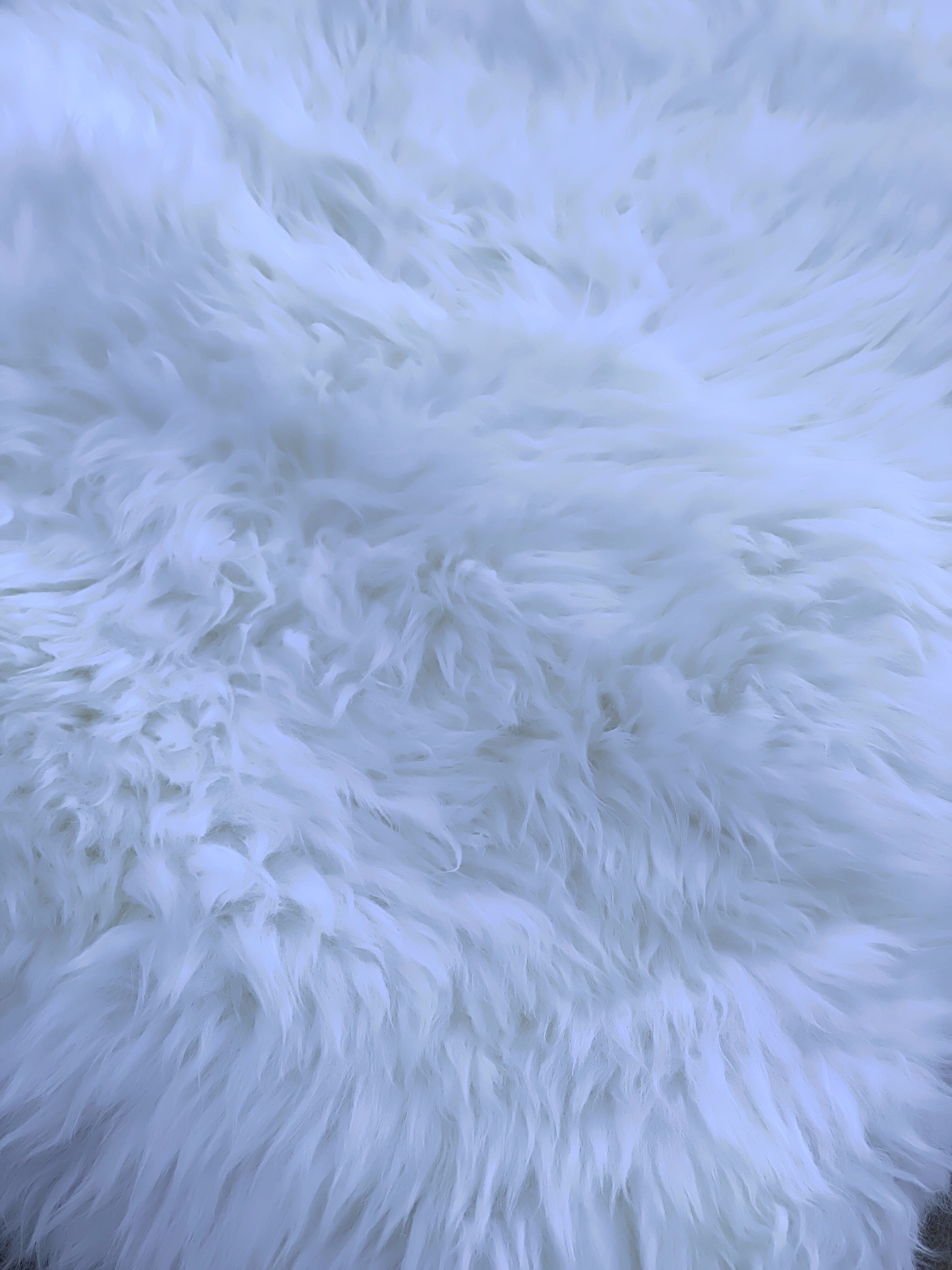 matière naturelle tapis mouton blanc