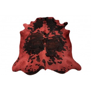 vache-normande-rouge-terracotta