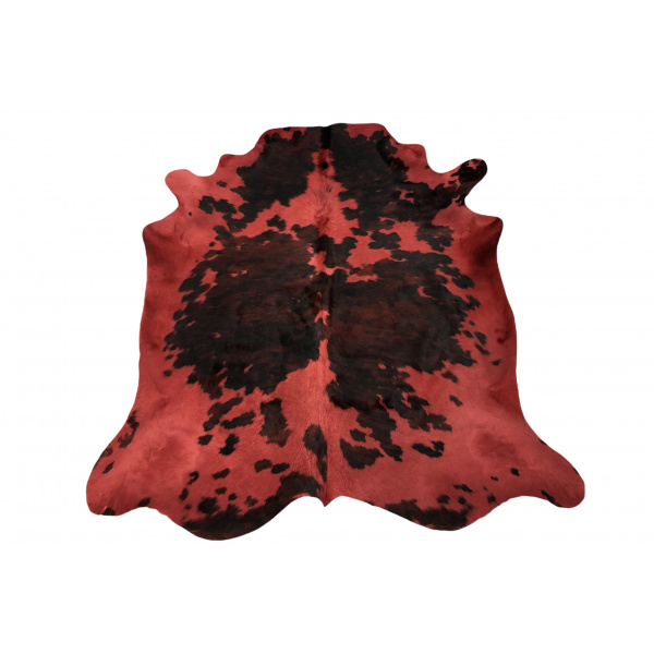 vache-normande-rouge-terracotta