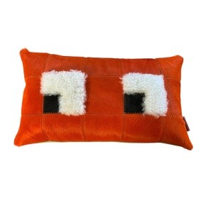 smiley regard auvergne