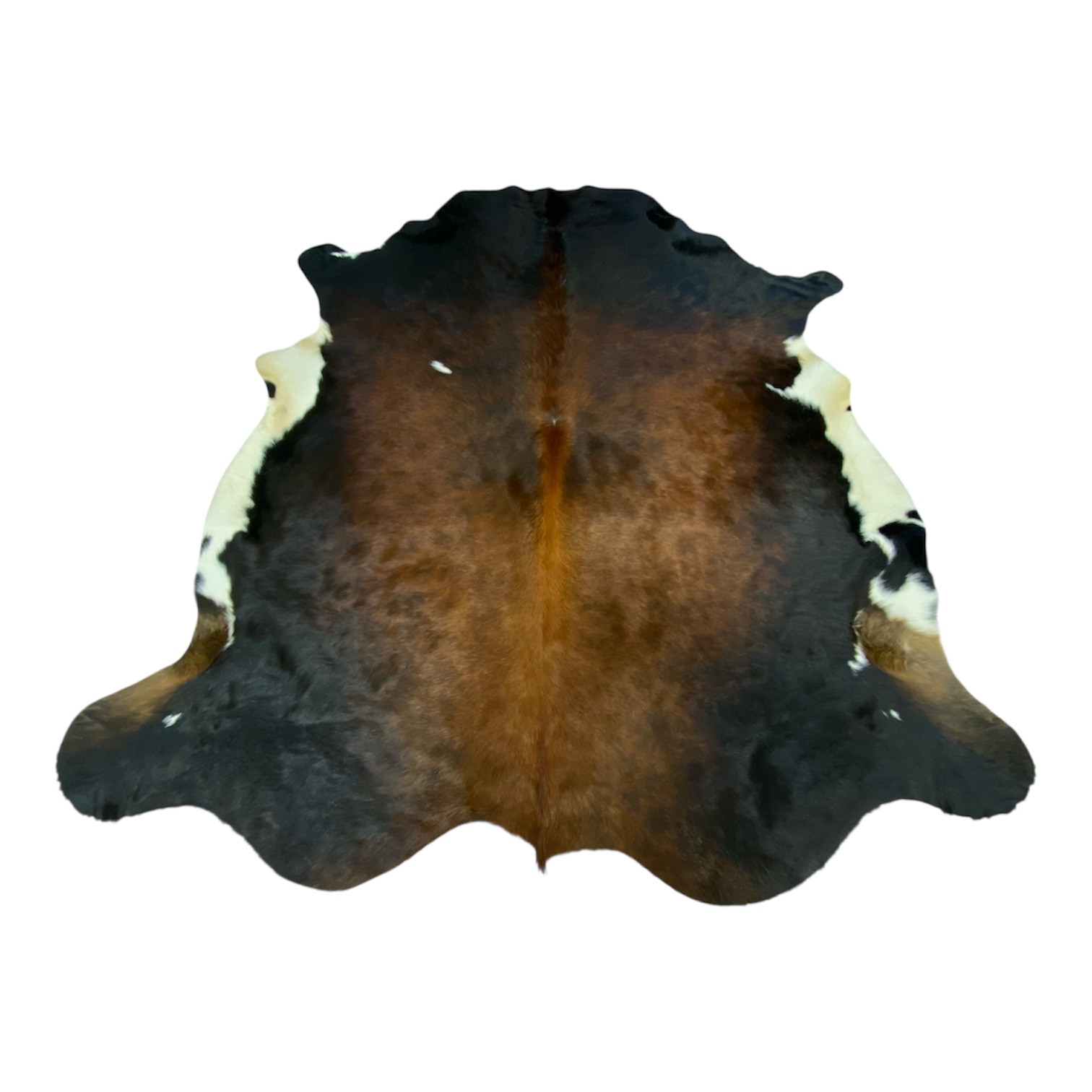 peau-de-vache-normande-foncée