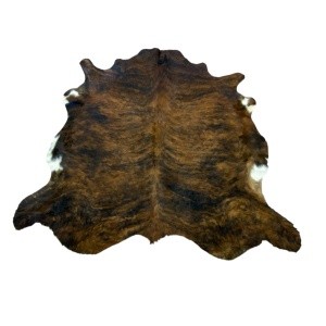 vache naturelle type salers