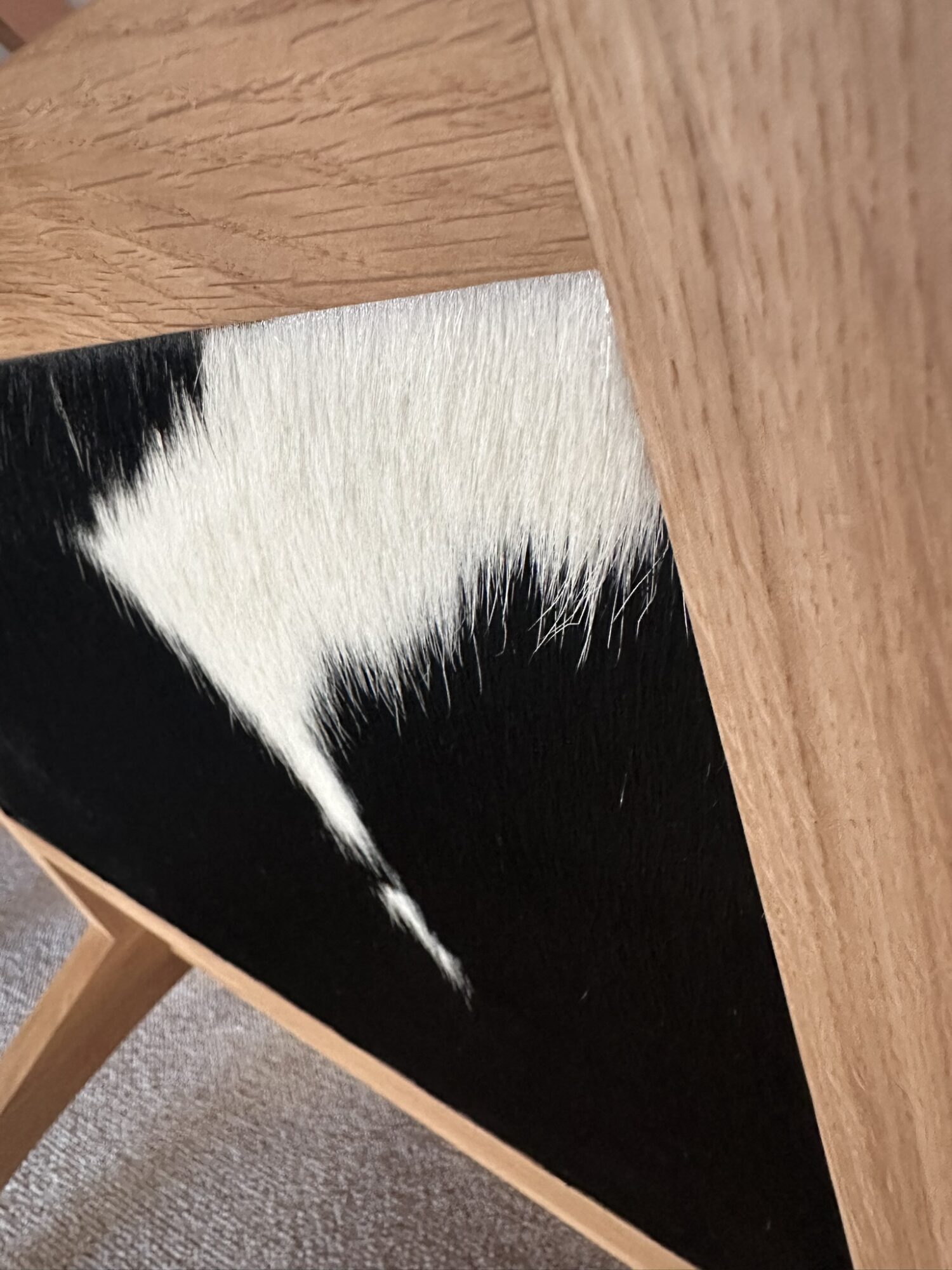 Maison Tergus Cuir peau de vache