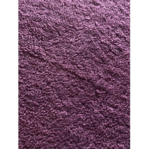 visuel-mouton-curly-violet