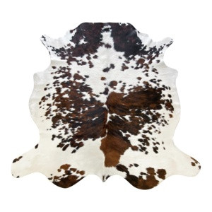 vache-normande-blanche