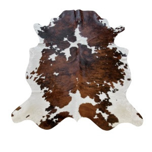 vache-normande-classique