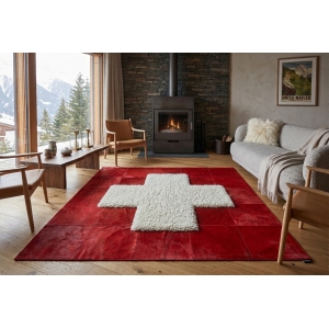 tapis suisse maison tergus zurich